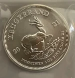 1756586408316.webp 1756586408316.webp