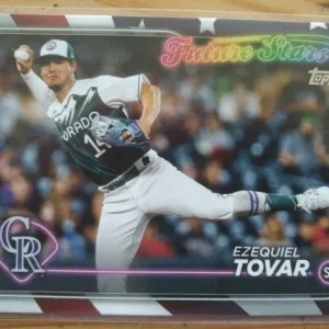 tovar front.webp